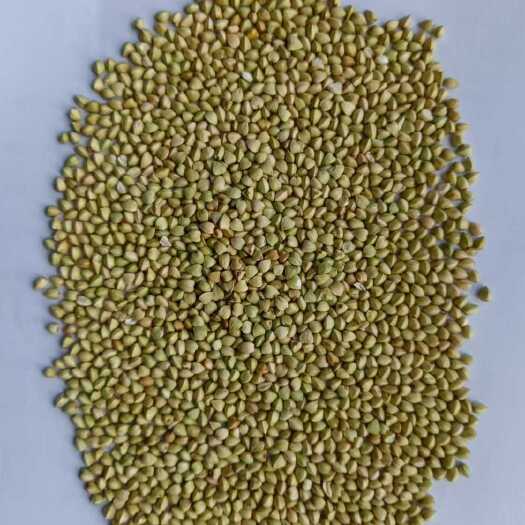 翁牛特旗荞麦米，生米，熟米，和国产。各种规格都有