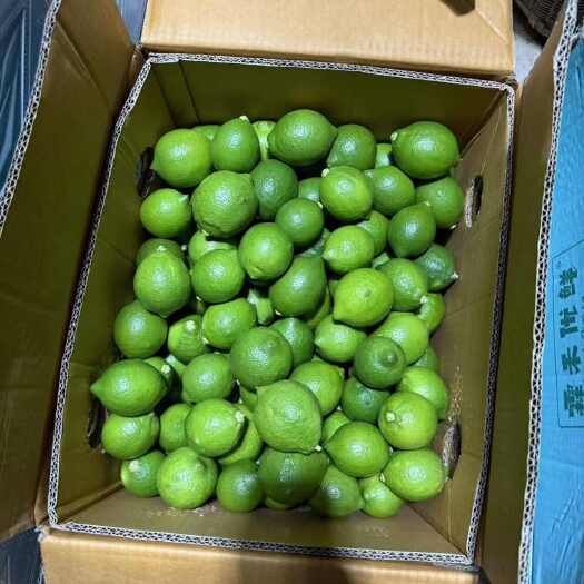 澜沧县大量优质尤力克青柠檬上市
