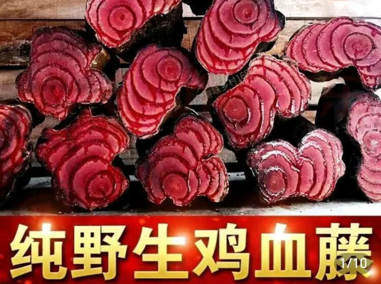 鸡血藤