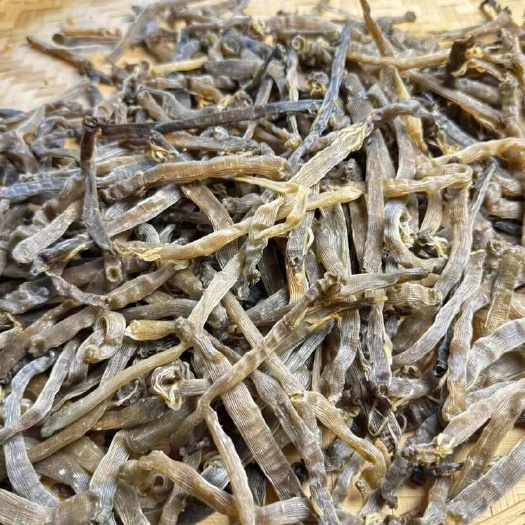北海广西北海灰沙虫干 海鲜干货批发 高品质水产加工产品