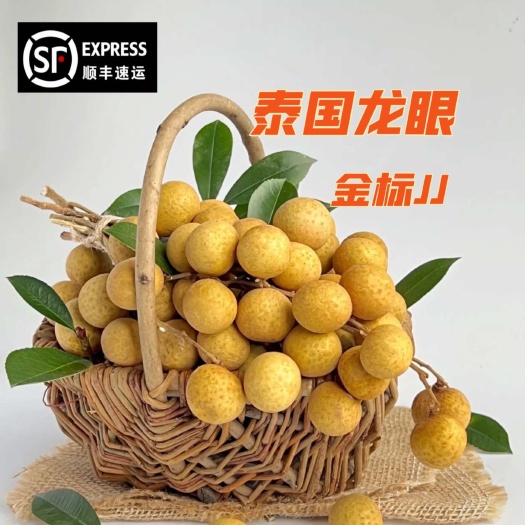 广州【水果热卖款】泰国龙眼，当季水果