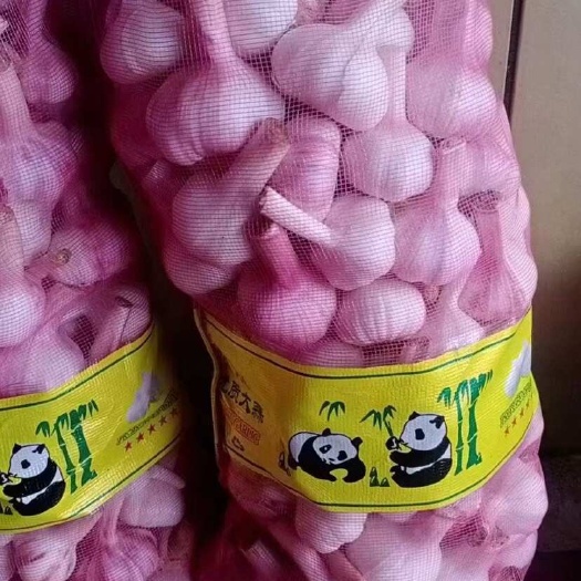 商丘新鲜紫皮大蒜，每天供货充足，质优价廉