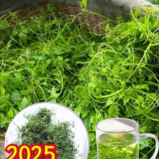 平利绞股蓝五叶七叶绞股蓝茶250克袋装 一手货源一手价格包邮