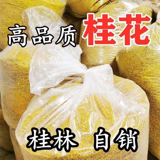 阳朔县广西桂林桂花干货桂花茶原产地直发自家生产加工价格优惠品种都有