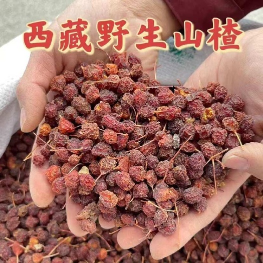 亳州西藏山楂 西藏小山楂波密泡酒泡水纯颗粒饱满