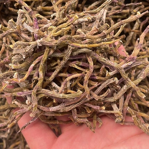 昆明铁皮石斛打粉条大货批发一手货源