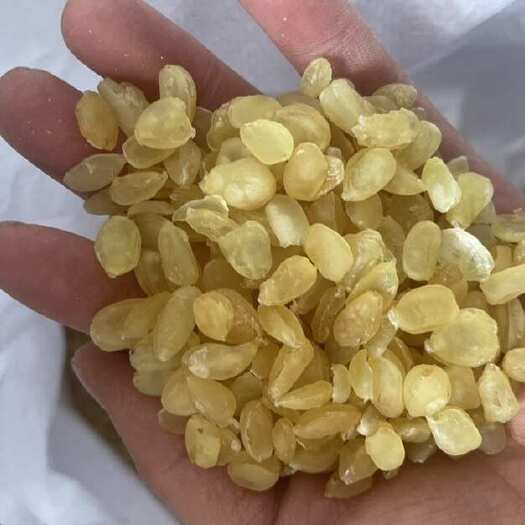 无糖大双荚皂角米大货批发