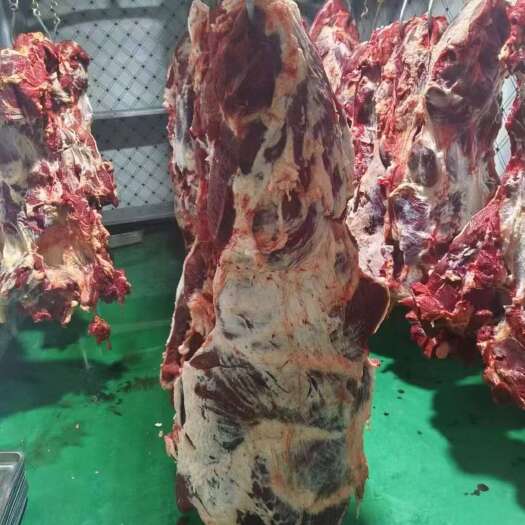 国产山东纯干鲜牛肉无注水牛肉牛分体全部位肉热鲜牛肉
