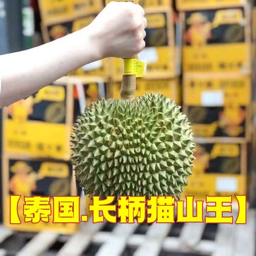 昆明泰国长柄猫山王榴莲 鲜果