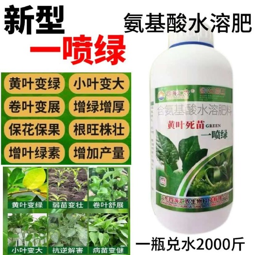 黄叶死苗生根壮苗黄叶变绿小叶变大叶片肥厚水溶肥果树花卉蔬菜通