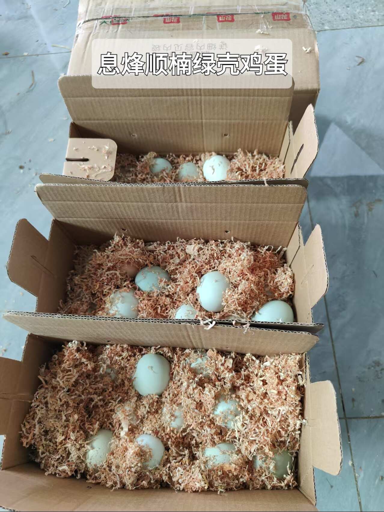 息烽绿壳土鸡蛋，纯山林养殖，绿色养殖，玉米，草，果