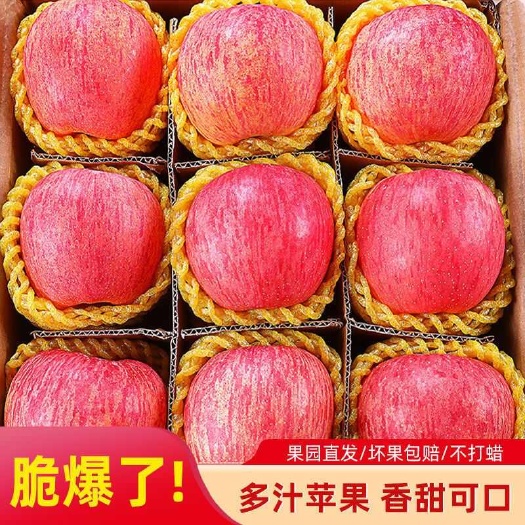 西安陕西红富士苹果脆甜当季现摘水果冰糖心丑苹果批发