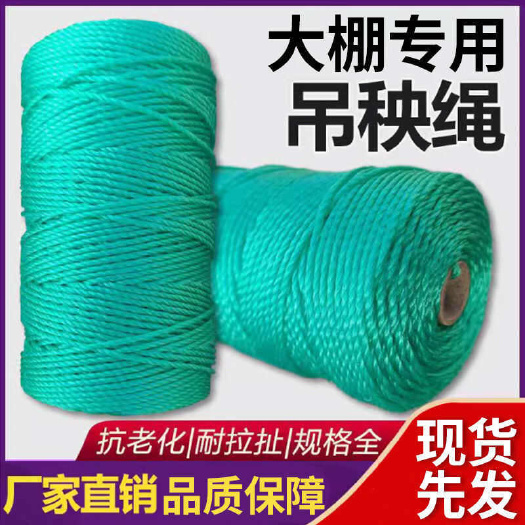 吊秧绳黄瓜西红柿蔬菜大棚吊蔓绳大棚压模绳抗老化耐磨塑料吊秧绳