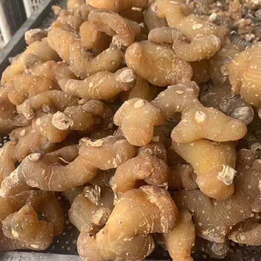 武胜县黄精干货，大中小规格，投料