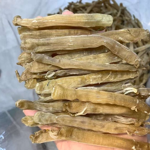 湛江300头大黄沙虫干，批发价360，可一件代发