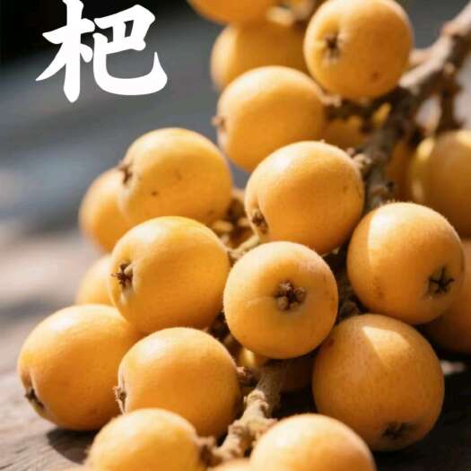 贺州特优A级批把