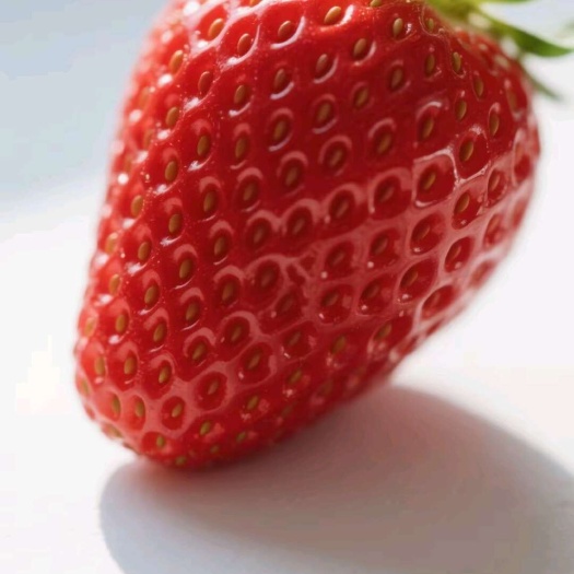 特优草莓