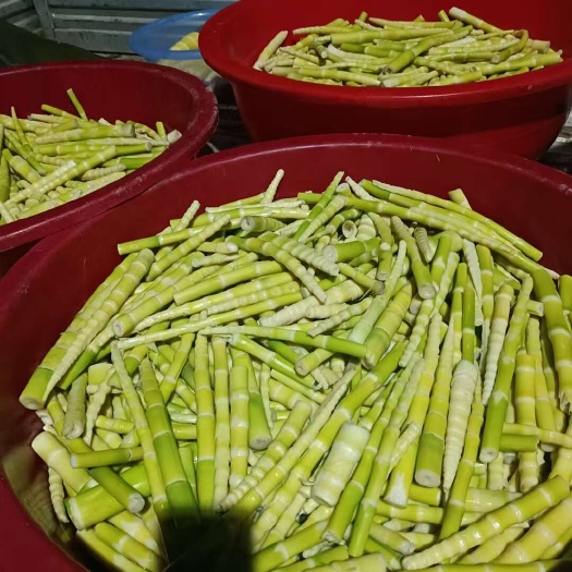 宁都县好货下山了