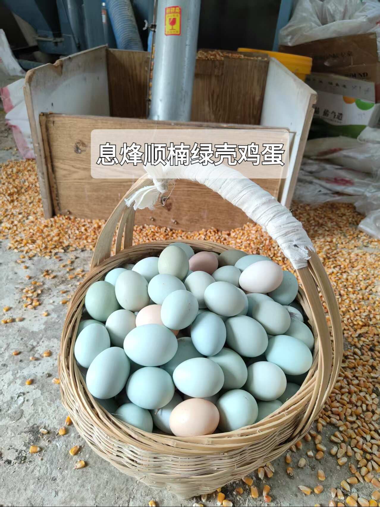 息烽绿壳土鸡蛋，纯山林养殖，绿色养殖，玉米，草，果