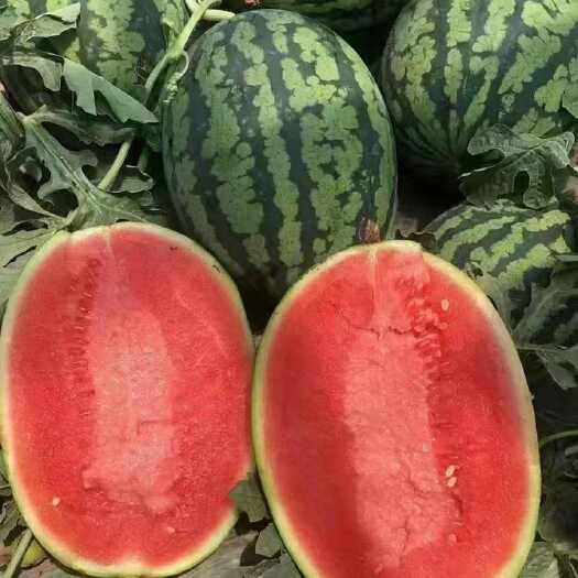 蒲城县陕西甘美4K西瓜  皮薄糖度高口感好  产地直发