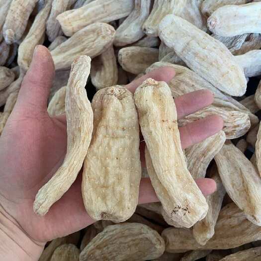 昆明湖北黄天麻大货批发一手货源8个500克100个500克