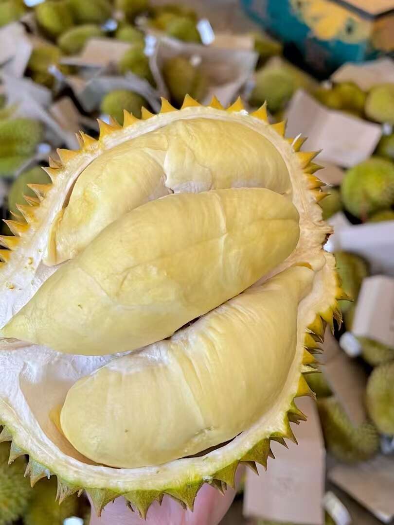 现货泰国金枕头榴莲新鲜水果整个带壳核小肉厚金枕榴莲包邮