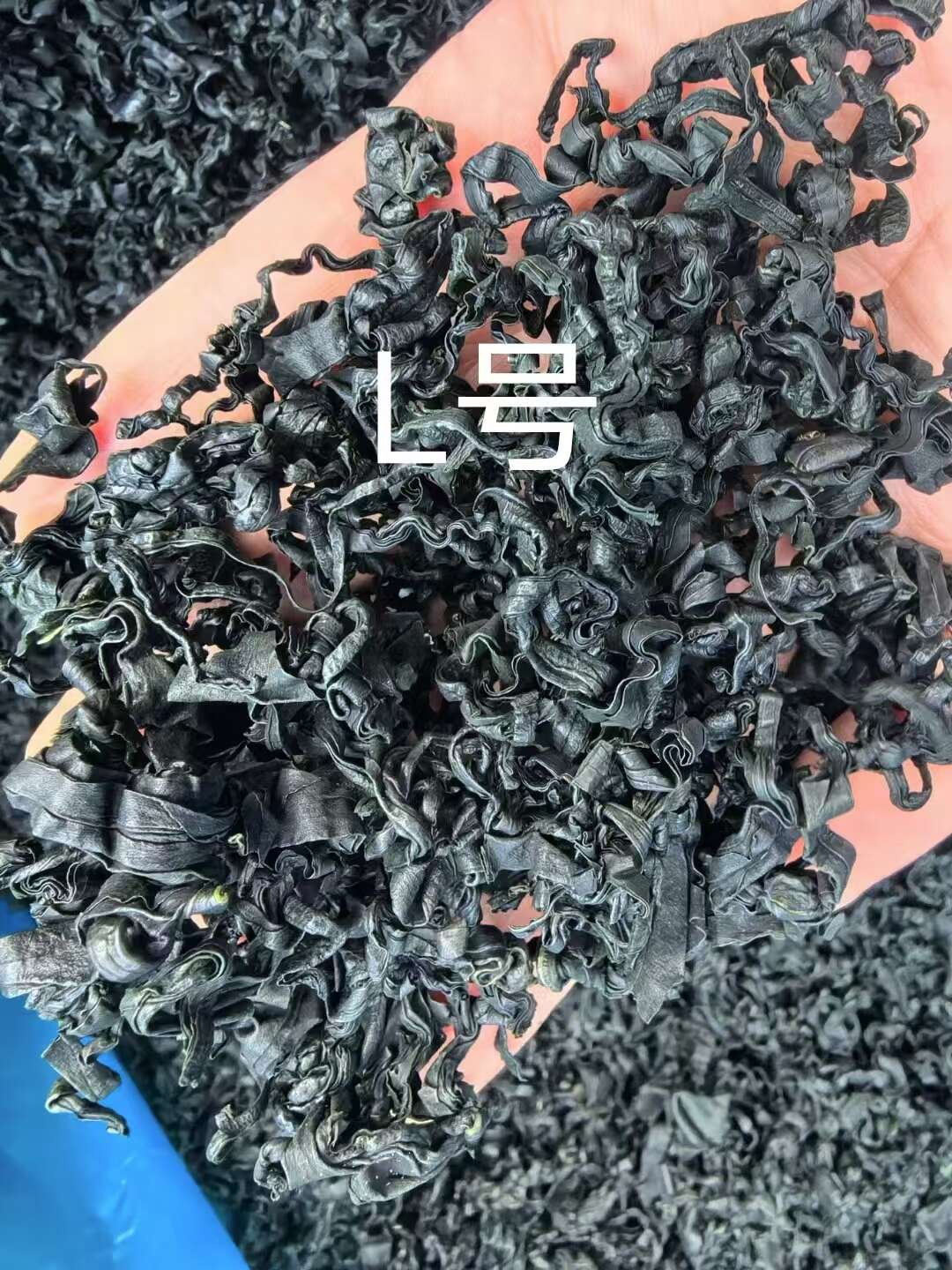 裙带菜 螺旋藻 干裙带菜 泡发率高   质优价廉