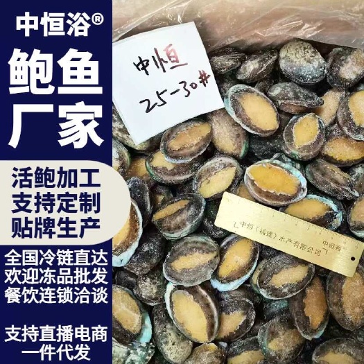 东山县鲍鱼厂家 活冻鲍鱼25-30头鲜活速冻鲍鱼 现货批发