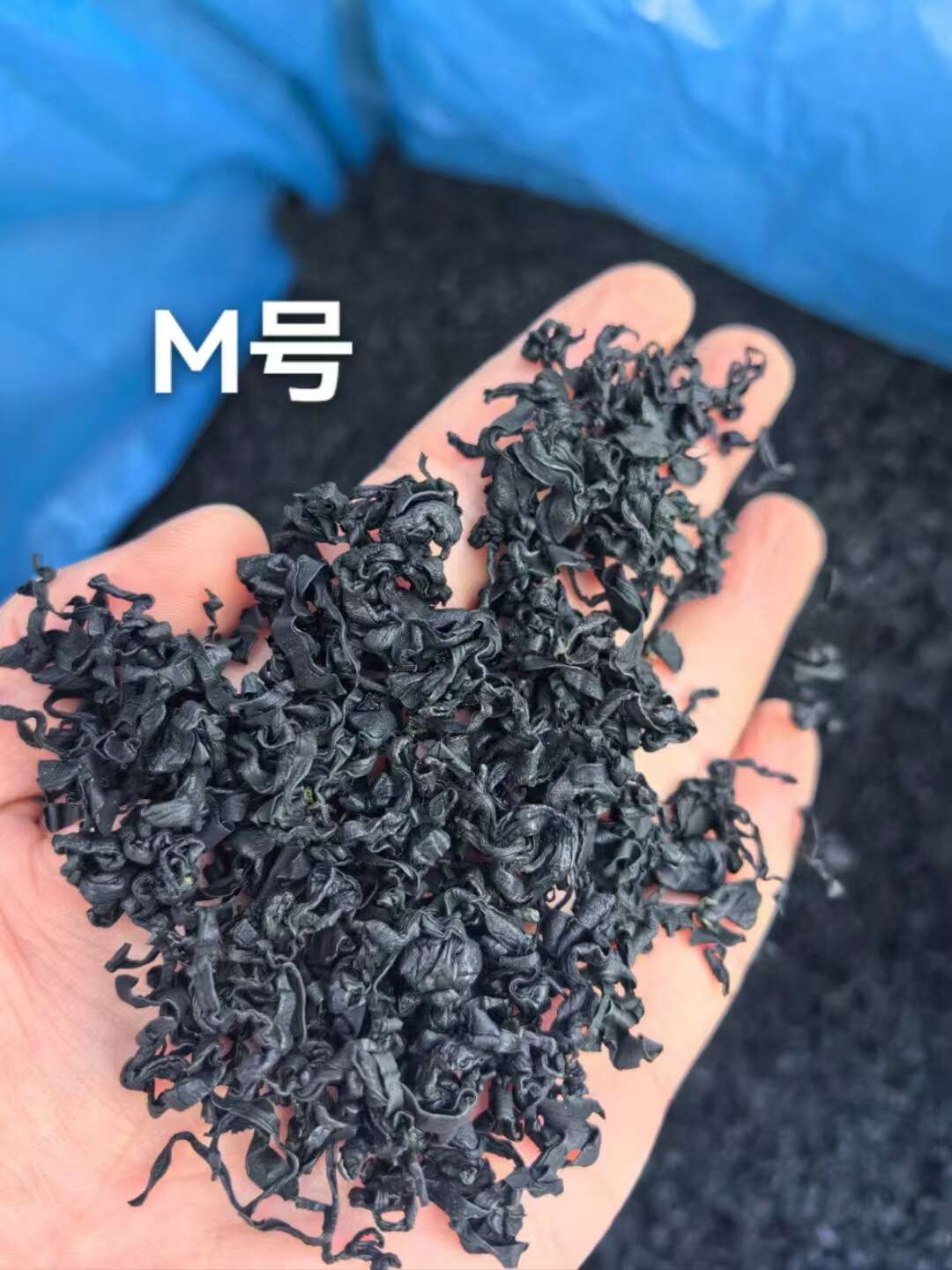 裙带菜 螺旋藻 干裙带菜 泡发率高   质优价廉