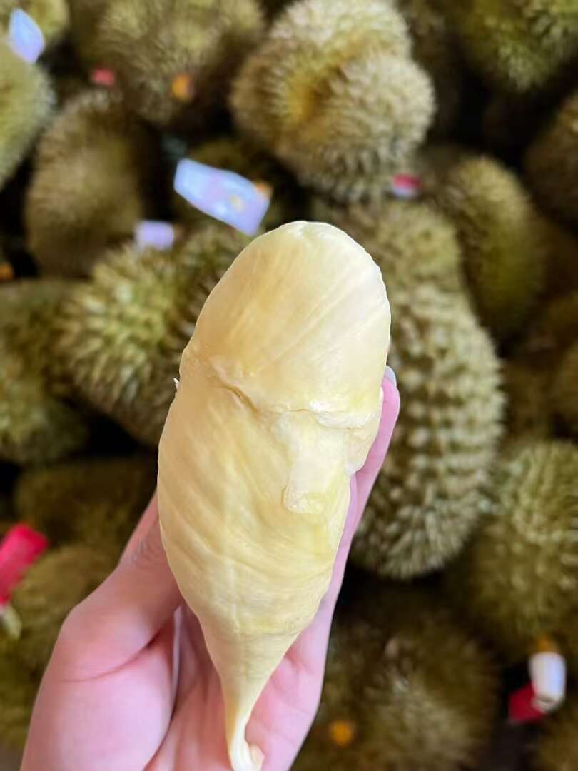 现货泰国金枕头榴莲新鲜水果整个带壳核小肉厚金枕榴莲包邮
