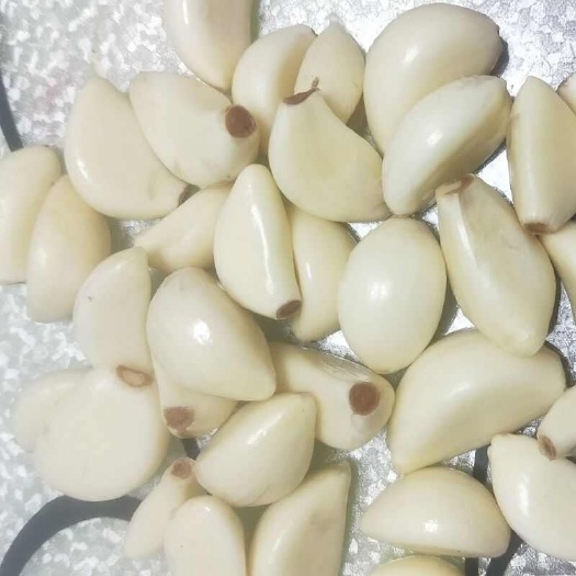 剥皮大蒜，蒜米，过筛，