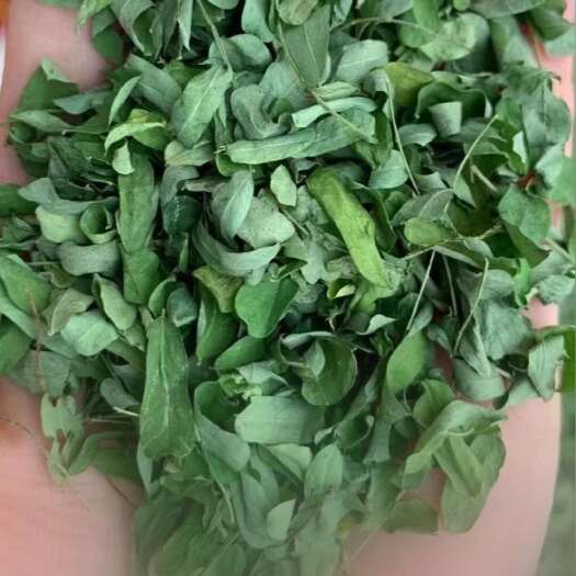玉林甜鸡骨草叶，相思叶，纯叶
，
一手货源，
