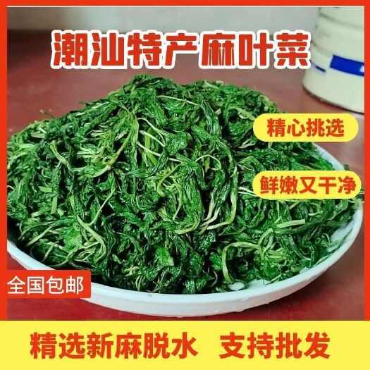 揭西县潮汕特产潮汕麻叶菜纯手工筛选新鲜嫩麻叶现摘现煮半成品真空包装