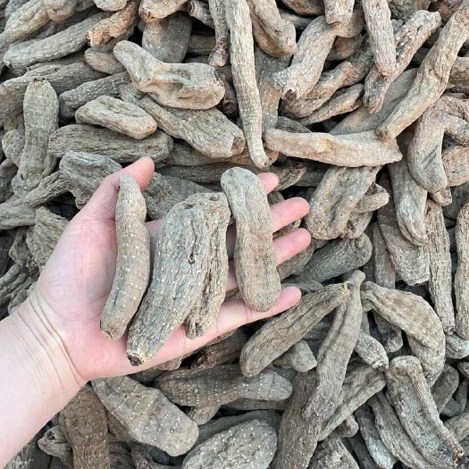 昆明乌天麻大货批发16头左右一斤