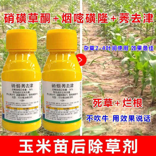 郑州玉米除草剂苗后除草剂36%硝磺草酮烟嘧磺隆莠去津玉米田除草剂