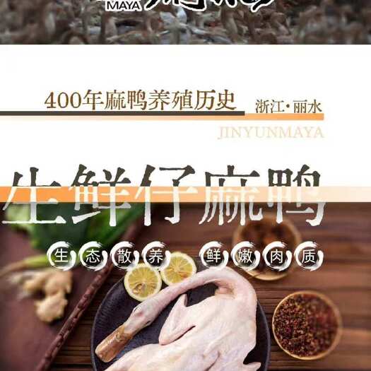 缙云县麻鸭仔鸭白条鸭