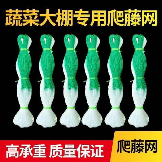 长沙爬藤网百香果种植网月季丝瓜苦瓜吊瓜豆角葡萄瓜蒌植物搭架攀爬网