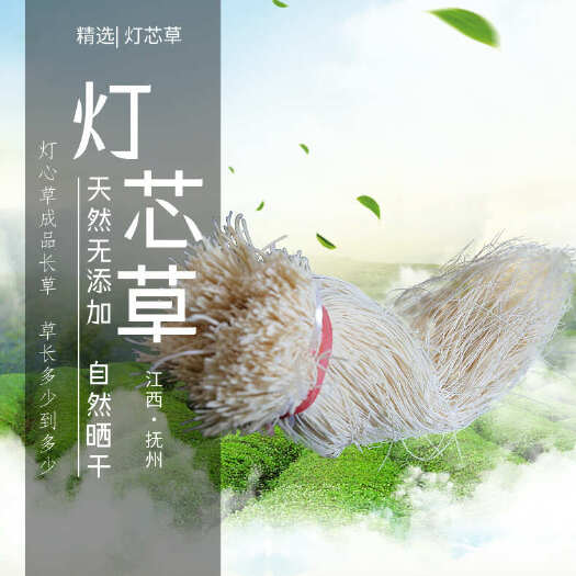 抚州江西产地直销新鲜灯芯草