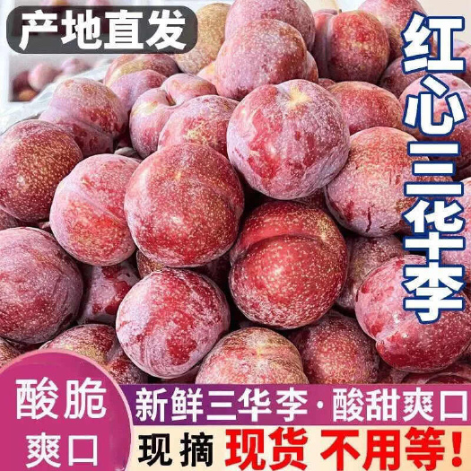 武平县广东三华李新鲜采摘当季李子果实饱满甜爽可口