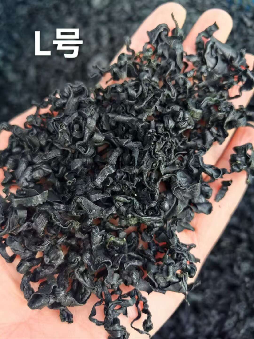 裙带菜 螺旋藻 干裙带菜 泡发率高   质优价廉