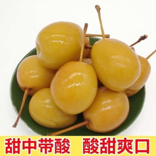 揭西县梨