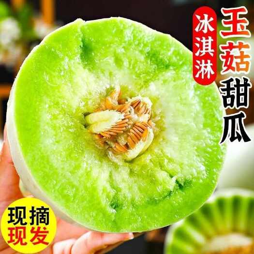 莘县网红爆款冰淇淋玉菇，专业一件代发，支持规格定制贴标
