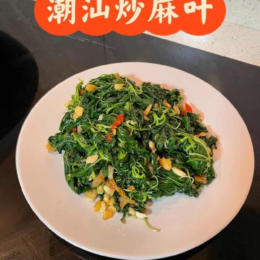 揭西县潮汕特产麻叶嫩麻叶潮汕麻叶菜脱水麻叶白麻红麻纯手工现摘现烫