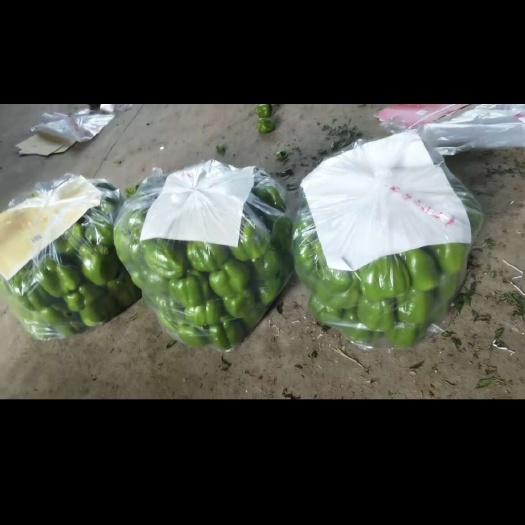 滦南县青椒