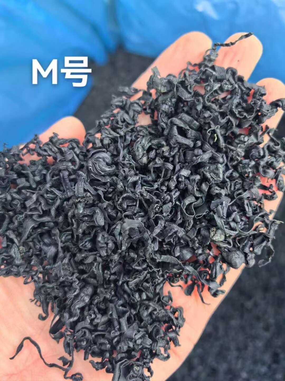 裙带菜 螺旋藻 干裙带菜 泡发率高   质优价廉