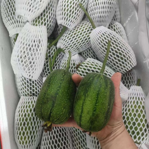 苹果丝瓜