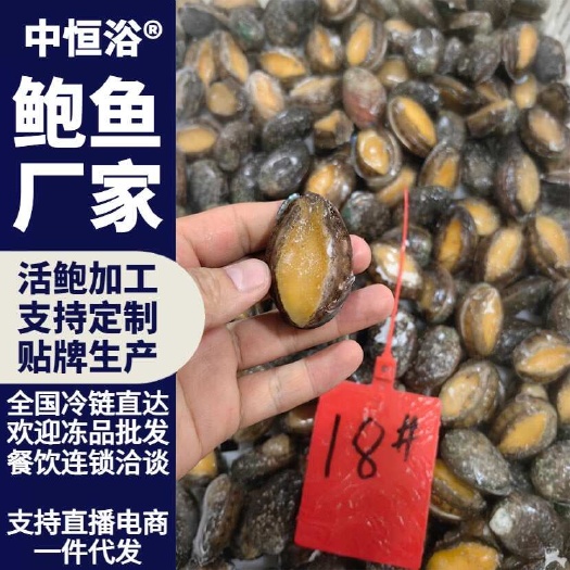 活冻鲍鱼 18头鲍鱼鲜活速冻 一手海鲜冻品批发