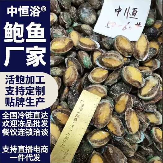 东山县活冻鲍鱼 50-60头鲍鱼海鲜冻品商用酒店餐饮超市厂家批发
