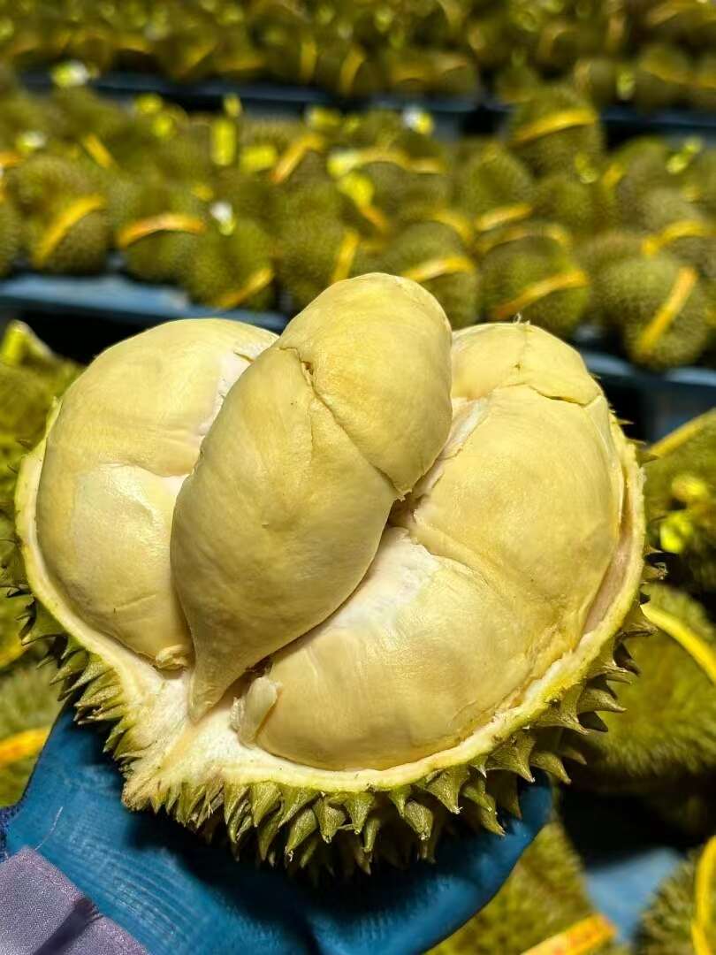 现货泰国金枕头榴莲新鲜水果整个带壳核小肉厚金枕榴莲包邮