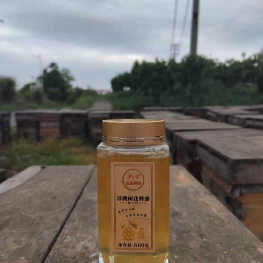 成都杨槐树花蜂蜜1斤装